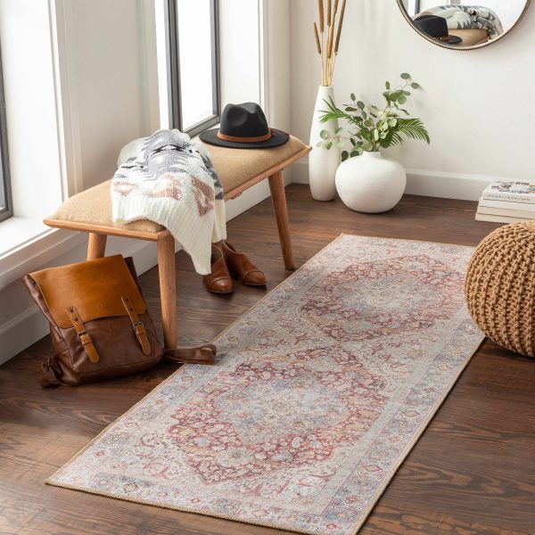 Cream Rust Leeston Vintage Washable Area Rug For Sale - Image 3