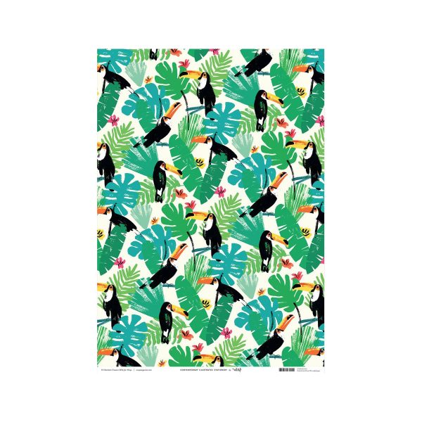 Charlotte Trounce Toucans Wrapping Paper by Wrap Online